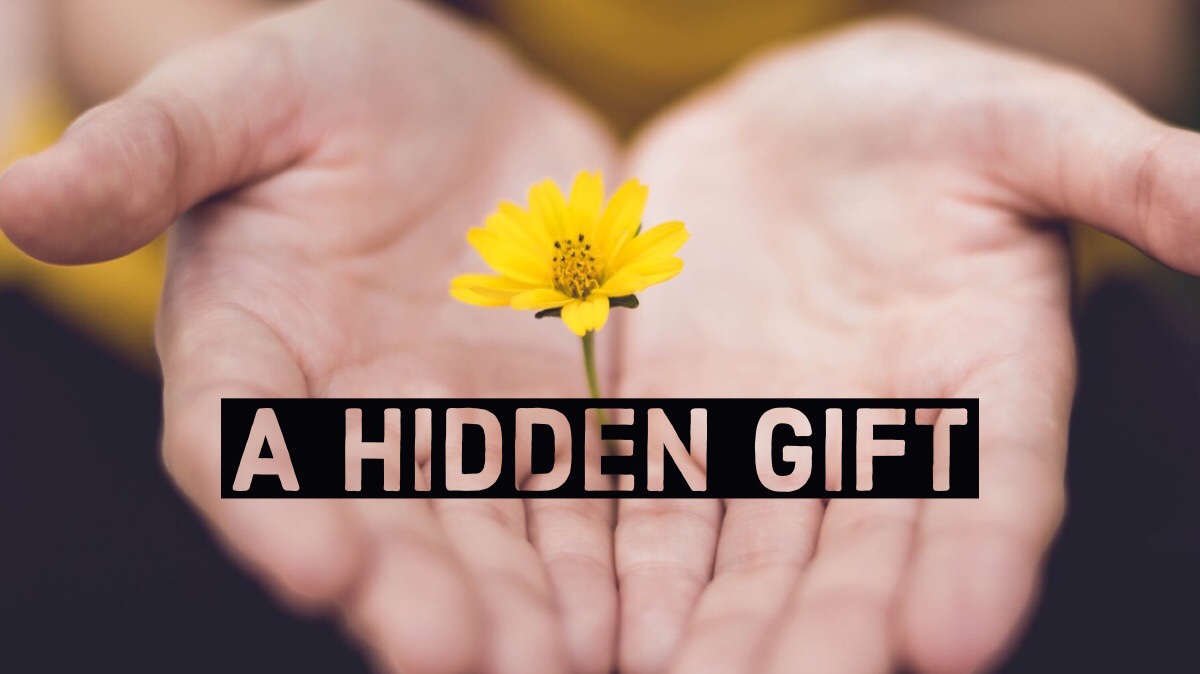 visual thinking the hidden gifts